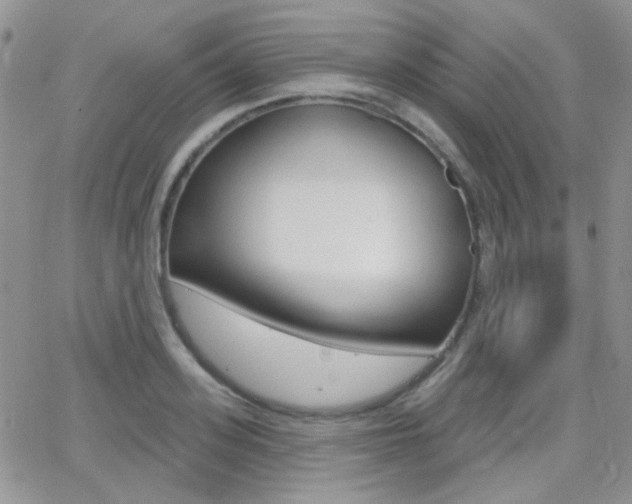 X0000066990939200603241017