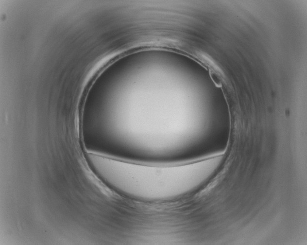 X0000066990940200603241017