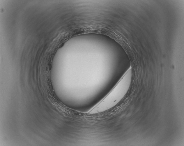 X0000066990961200603241016