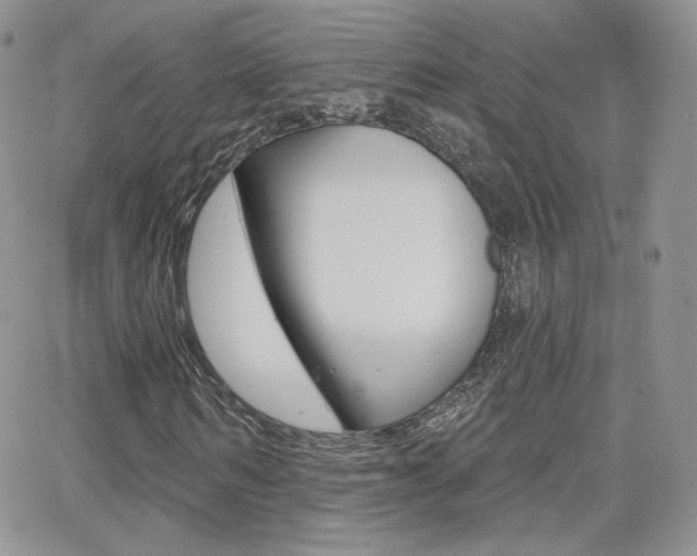 X0000066990962200603241016
