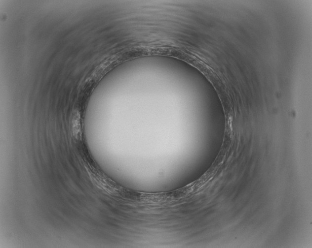 X0000066990963200603241016