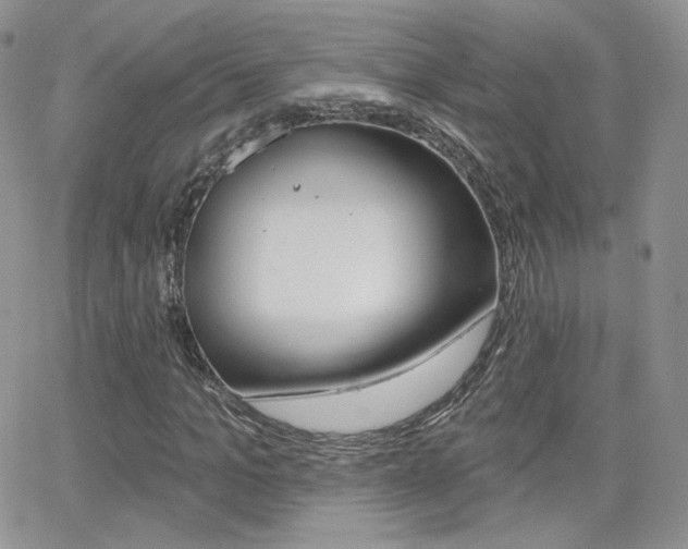 X0000066990965200603241016