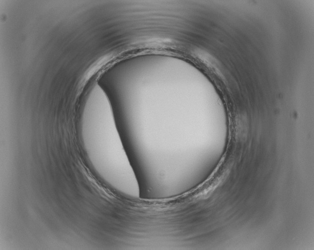 X0000066990970200603241016