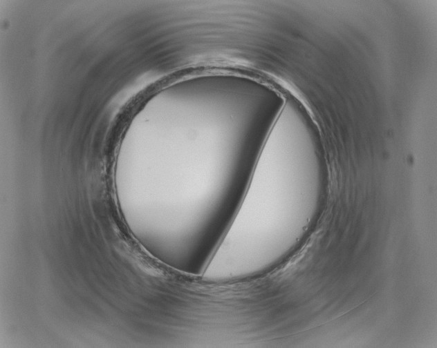 X0000066990971200603241016