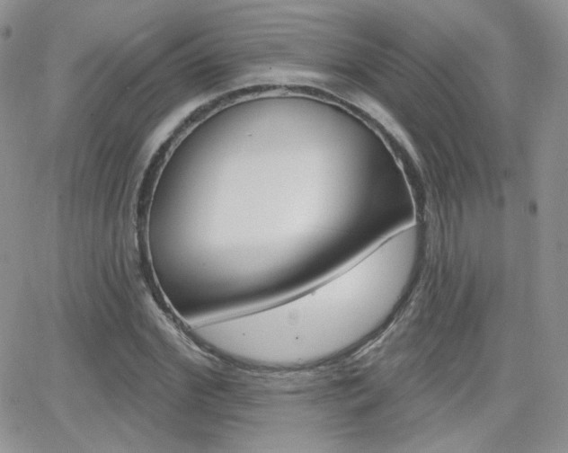 X0000066990972200603241016