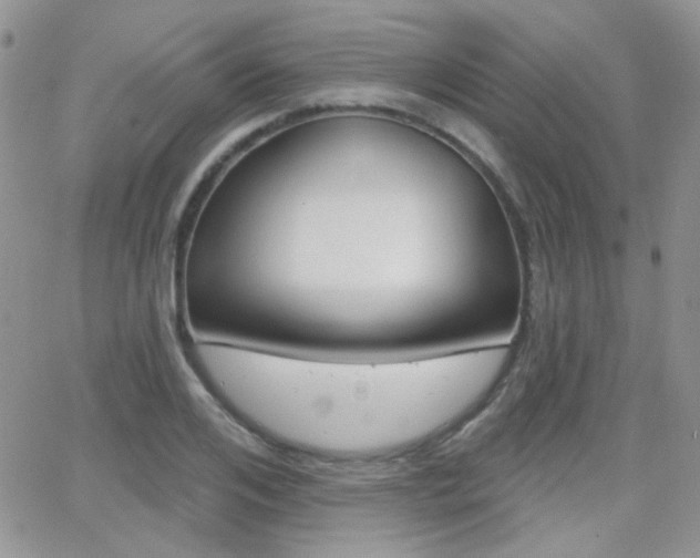 X0000066990984200603241016