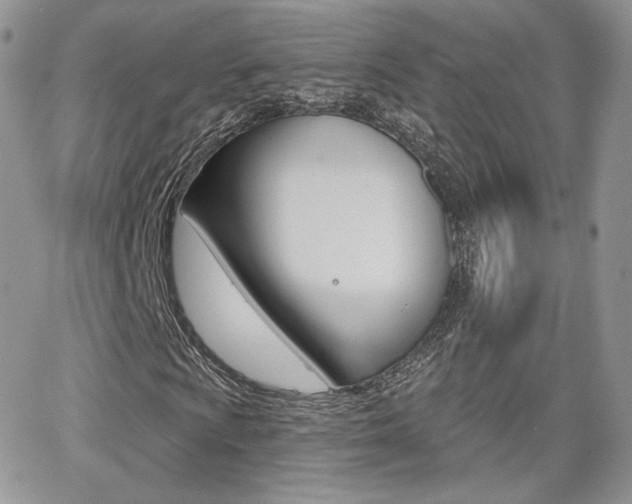 X0000066991009200603241015