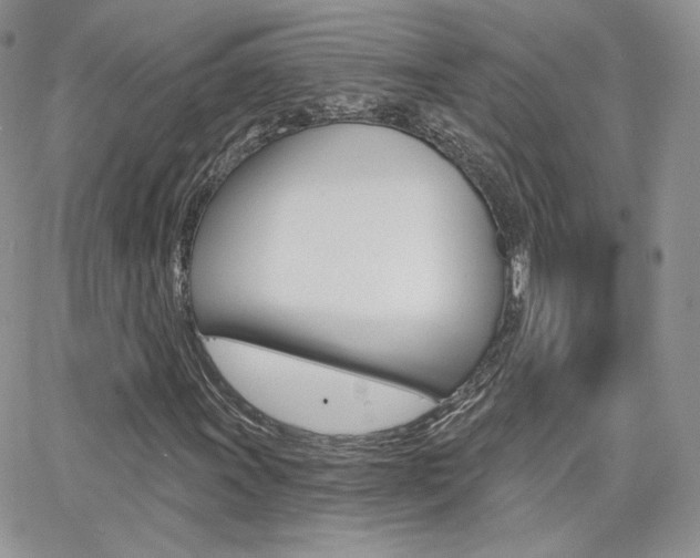 X0000066991011200603241015