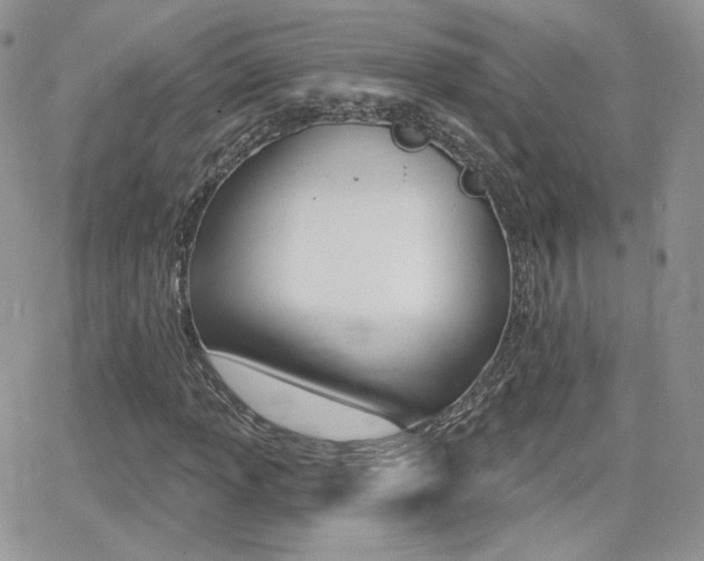 X0000066991013200603241015