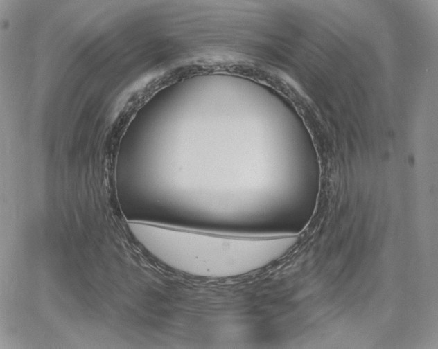 X0000066991016200603241015