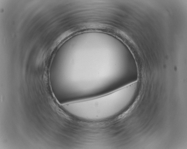 X0000066991025200603241015