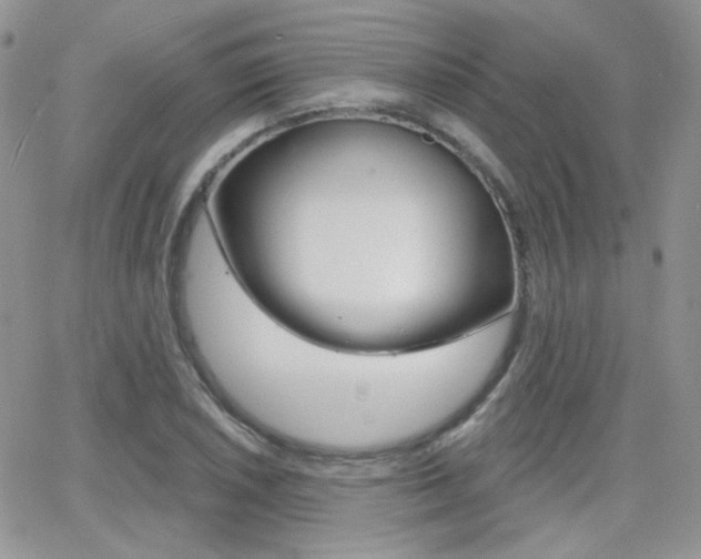 X0000066991026200603241015