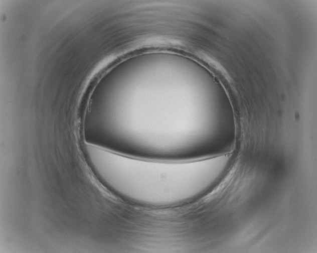 X0000066991029200603241015