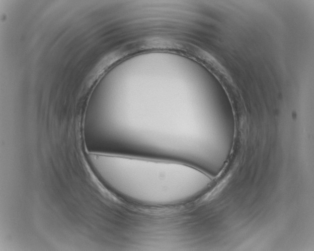 X0000066991033200603241015