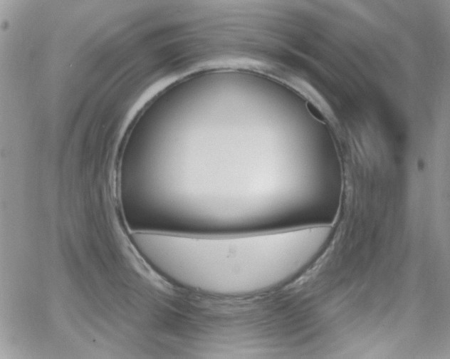 X0000066991044200603241015