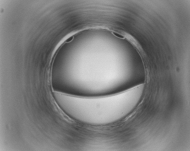 X0000066991052200603241015