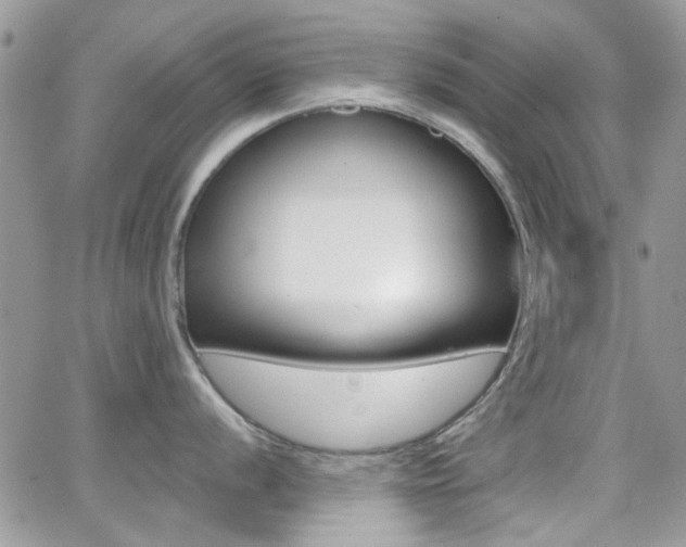X0000066991056200603241015