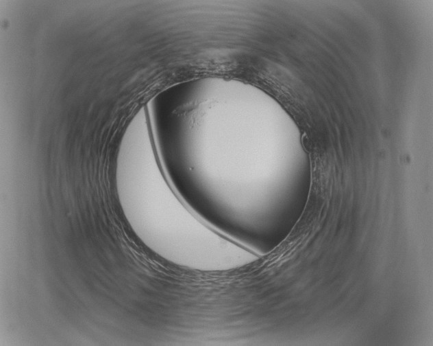 X0000066991058200603241015