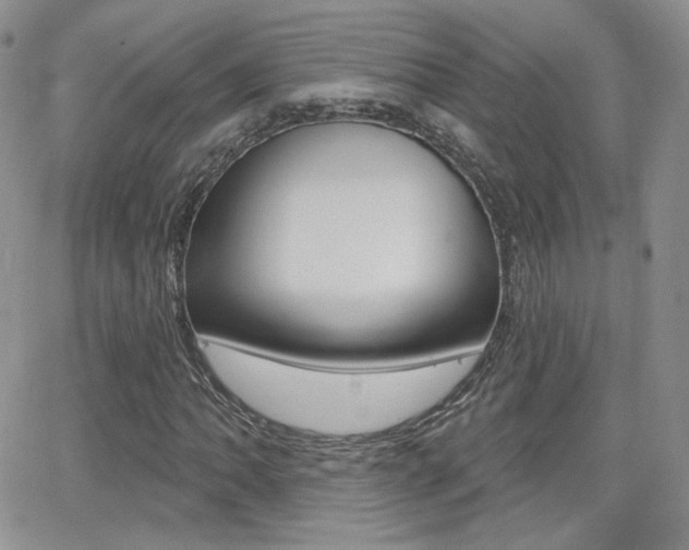 X0000066991062200603241014