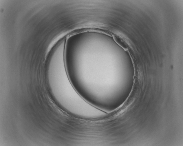 X0000066991069200603241014