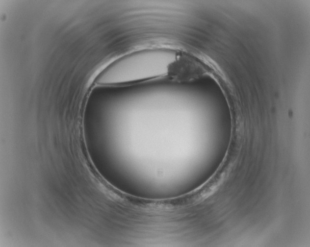 X0000066991081200603241014