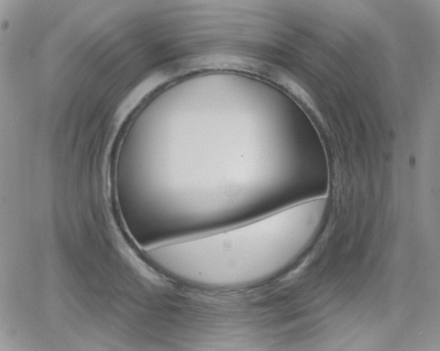 X0000066991082200603241014