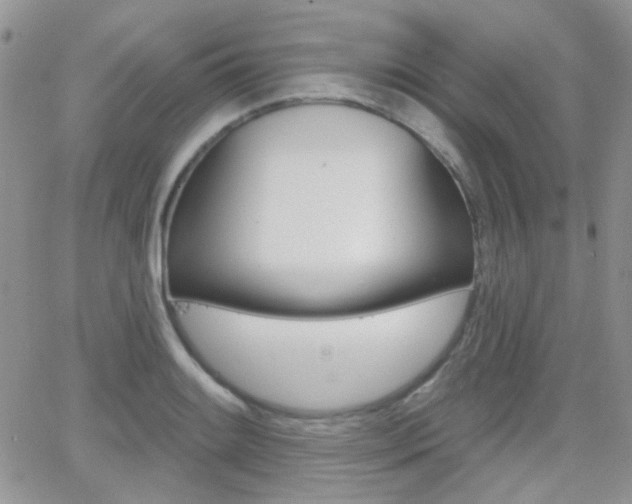 X0000066991084200603241014