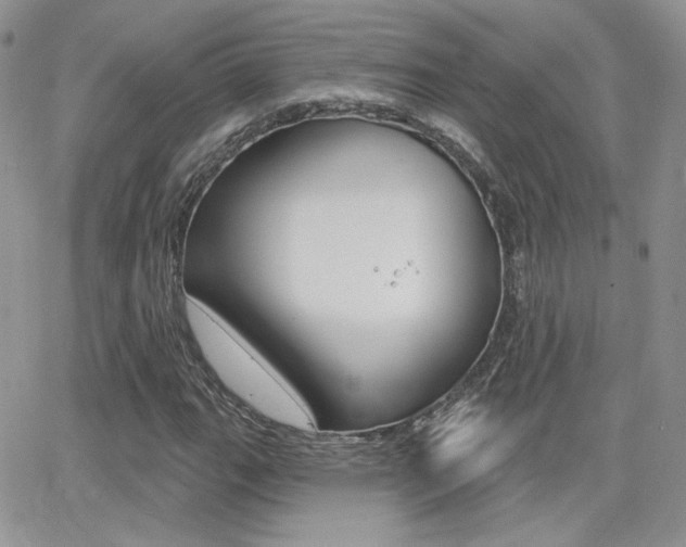 X0000066991111200603241013