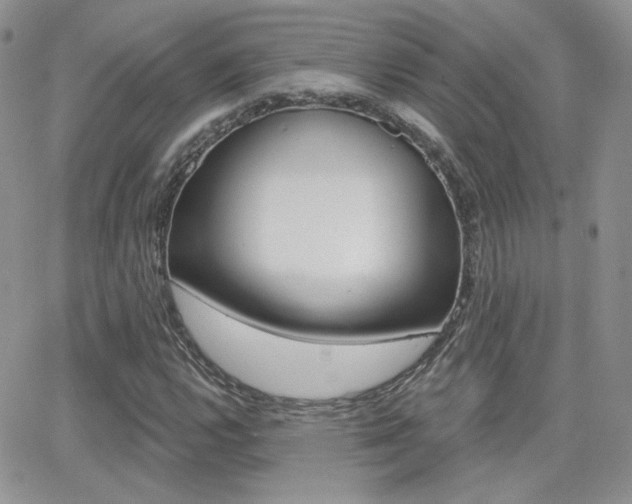 X0000066991112200603241013