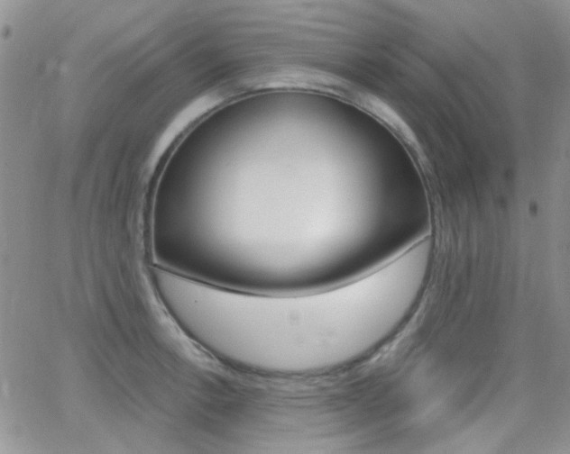 X0000066991138200603241014