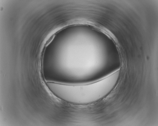 X0000066991144200603241014