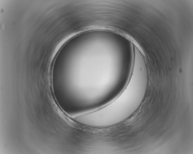 X0000066991148200603241014
