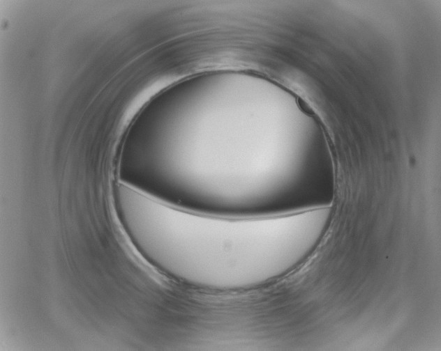 X0000066991187200603241012