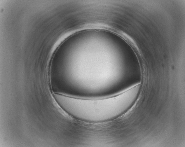 X0000066991192200603241012