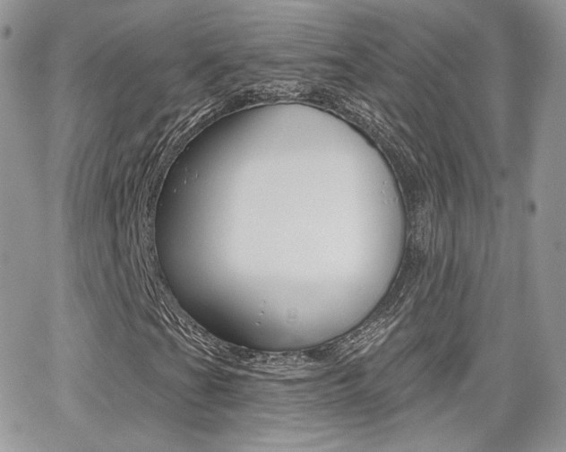 X0000066991201200603241011