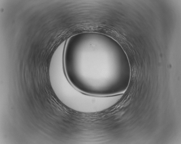X0000066991202200603241011