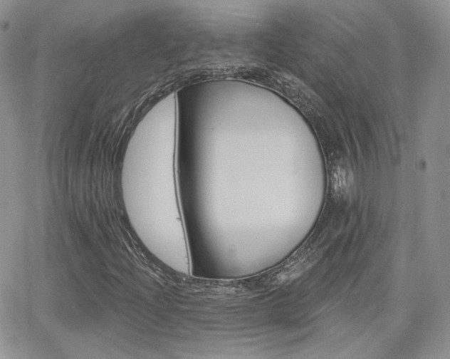 X0000066991204200603241012