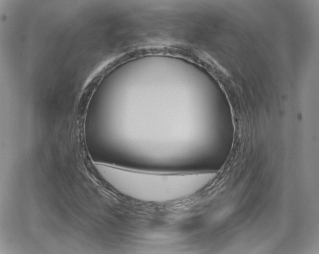 X0000066991208200603241012