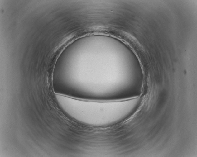 X0000066991209200603241012