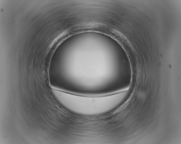 X0000066991210200603241012