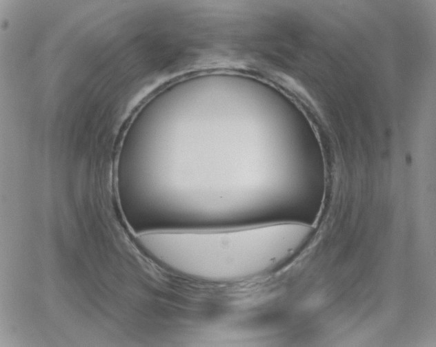 X0000066991220200603241012