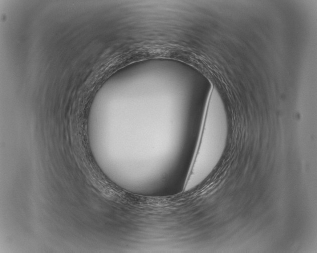 X0000066991249200603241011