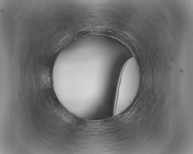 X0000066991252200603241011