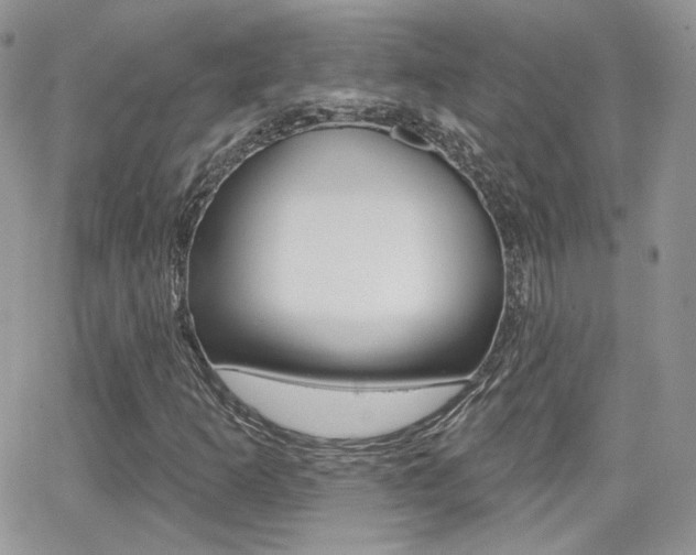 X0000066991253200603241011