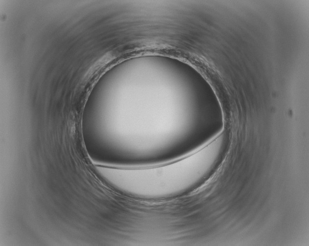 X0000066991257200603241011