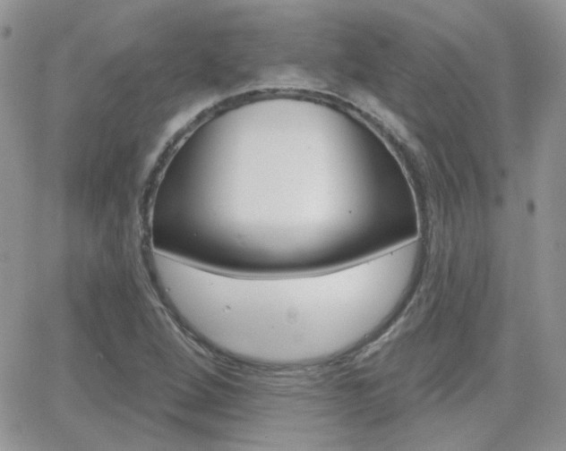 X0000066991264200603241011