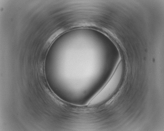 X0000066991273200603241011