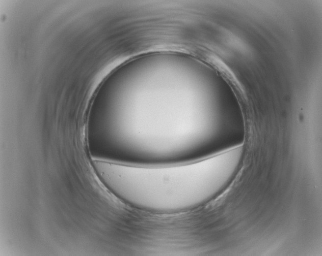 X0000066991284200603241011