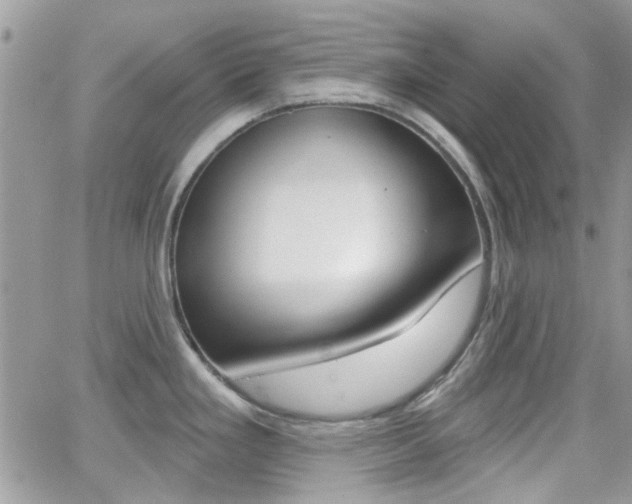X0000066991293200603241011