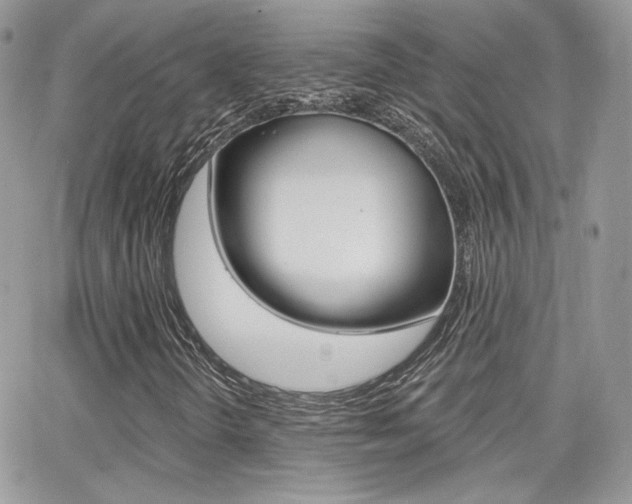 X0000066991298200603241010